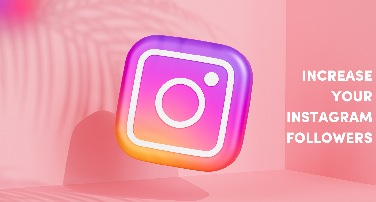20+ Tips to Increase Followers on Instagram, Get More and Real Followers in Few Steps